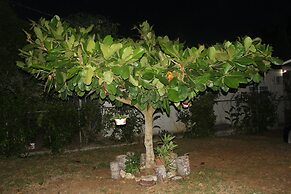 ritashomeawayfromhome