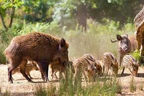 Recomeçar Guest House