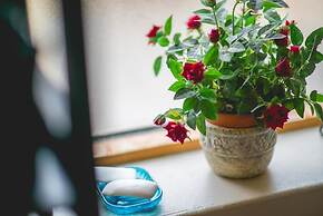 Dream Guesthouse Vik