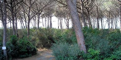 Oleandri Suite Hotel