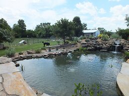 Montrose Farms Alpaca Ranch