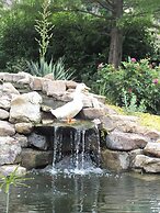 Montrose Farms Alpaca Ranch