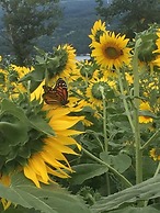 Moonshadow Bed and Breakfast