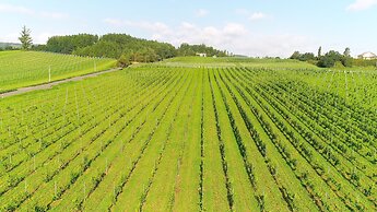 Winery Hotel & Condominium HITOHANA