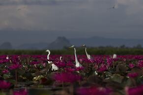 Baantonlamphu Pakpra