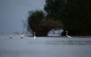 Baantonlamphu Pakpra