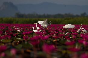 Baantonlamphu Pakpra