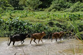 Kachong Hills Tented Resort Trang