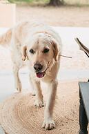 IUTA Glamping & Farm