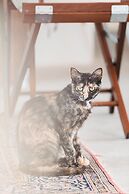 IUTA Glamping & Farm