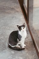 IUTA Glamping & Farm