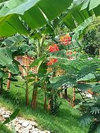 Richardson Serenity Villa