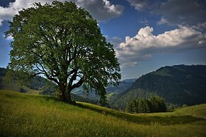 Berghüs Schratt - vegetarisches und veganes Biohotel