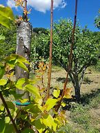 Agriturismo Il Pintello