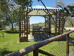 Agriturismo Il Pintello