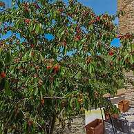 Agriturismo Il Pintello