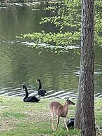 Swan Lake Resort Rentals