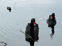 Swan Lake Resort Rentals