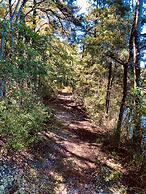 Swan Lake Resort Rentals