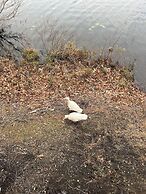 Swan Lake Resort Rentals