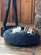 Swan Lake Resort Rentals