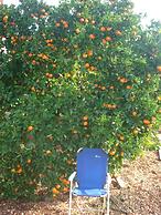 Green Paradise With Magnificent View