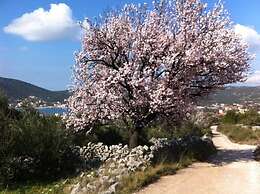 Green Paradise With Magnificent View