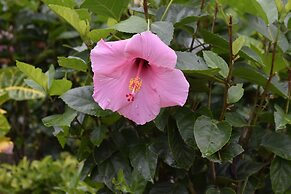 Hostel Lopez El Valle