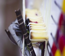 Span Suites And Villas