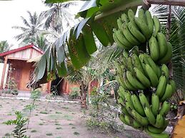 Coconut Homestay