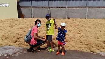 Coconut Homestay