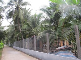 Coconut Homestay