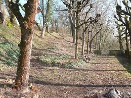 Villa du Cerf Thibault