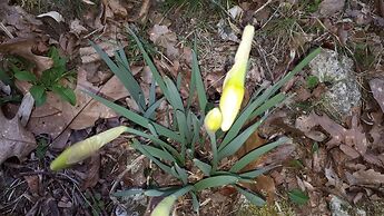 Villa du Cerf Thibault