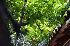 Apart Hotel Las Cepas