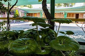 Apart Hotel Las Cepas