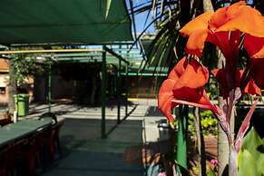 Apart Hotel Las Cepas