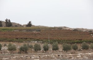 The Rashbi studio apartments