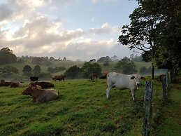 Seasons of Maleny B&B