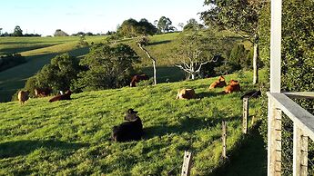 Seasons of Maleny B&B