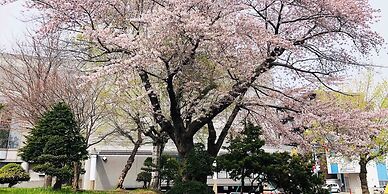 Guest House Otaru WANOKAZE - Hostel