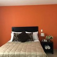 Zamora Ejecutivo Express