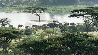 Seronera Wildlife Lodge