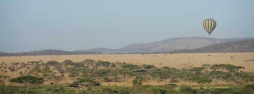 Seronera Wildlife Lodge
