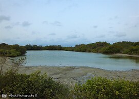 Sands Kalpitiya By GLN