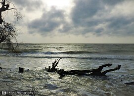 Sands Kalpitiya By GLN