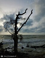 Sands Kalpitiya By GLN