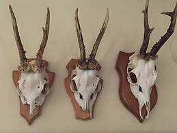 Art Hotel Ingolstadt