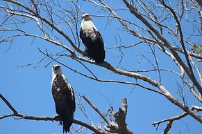Bomani Beach Bungalows