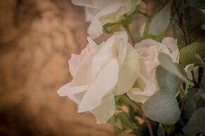 Breathtaking 4BD Apt 5min Walk to Duomo